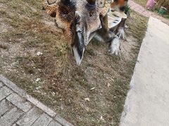 -西部长青自然儿童乐园