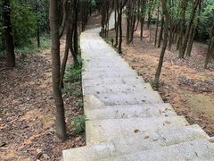 -火炉山森林公园