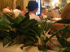 大堂-润园四季椰子鸡火锅(海上世界店)