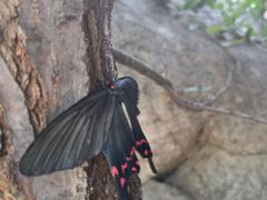 -碓臼峪自然风景区