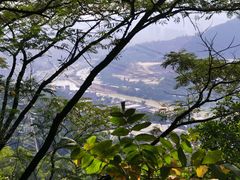 -旗岭森林公园