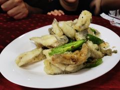 椒盐九肚鱼-蛇口康乐快餐鱼仔档(翠苑小区店)