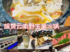 -芸山季·云南山珍菌火锅(南翔印象城MEGA店)