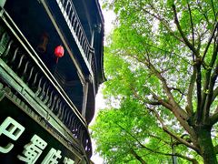 -黄龙溪古镇