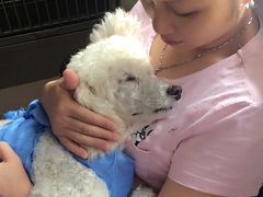 -美联众合动物医院·24h京西诊疗中心