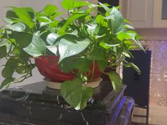 -王府井酒店(金桥港湾店)