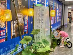-金茂览秀城