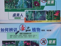 -国家植物园南园