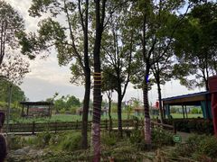 -洪湖家庭农场·团建·露营·会议