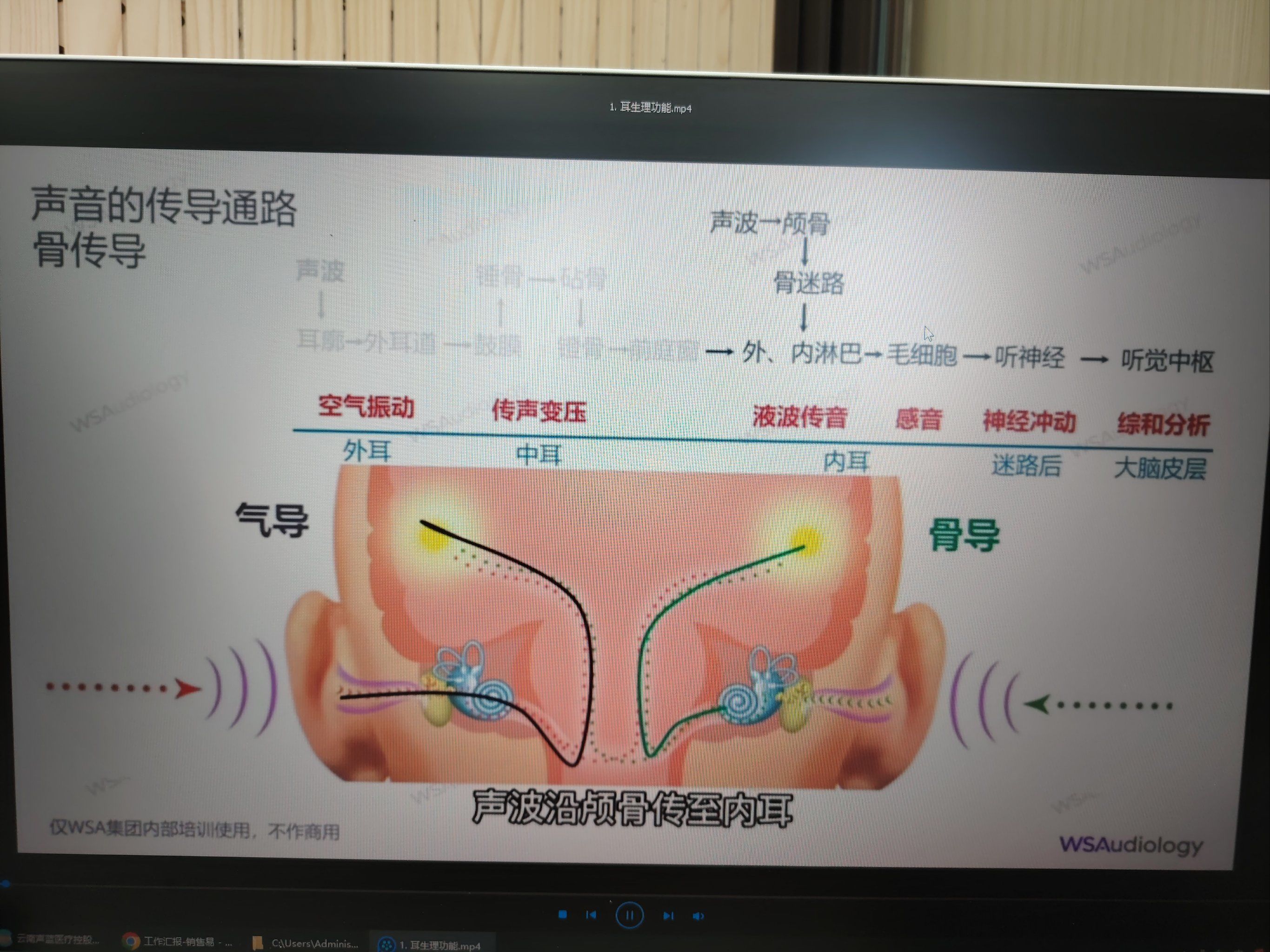 声音传导通路