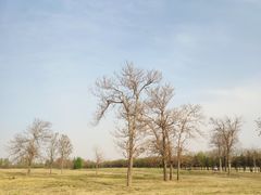 -汉长安城未央宫国家考古遗址公园