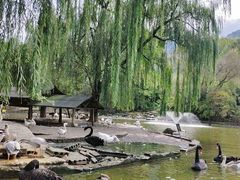 -西安秦岭野生动物园
