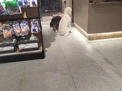 -FAELING PETS美天灵宠物(富力广场店)