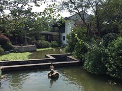 杭州西子湖四季酒店金沙厅-杭州西子湖四季酒店·金沙厅