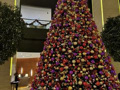 -上海龙之梦万丽酒店