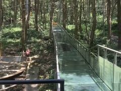 -富春桃源风景区
