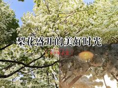 -泰丰公园