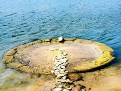 -阿哈湖国家湿地公园