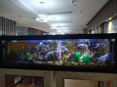 -水立方国际汤泉(六一中路店)