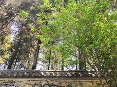 -飘香酒馆·私房菜