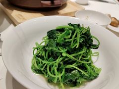 -院里寻菜·精致庭院菜(观沙岭店)