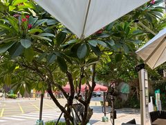 -The PEAT Coffee(深业中城店)