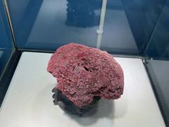 -重庆欢乐海底世界