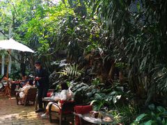 -Fern Forest Cafe