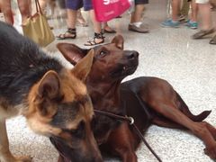 -东浩兰生上海世博展览馆