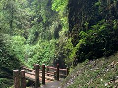 -青城山