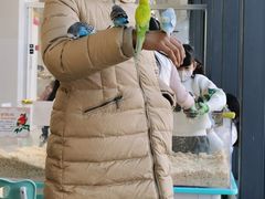 -怪兽屋·羊驼·猫咖·狗咖(俊华广场店)