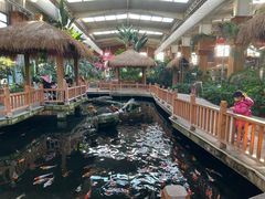 -南宫五洲植物乐园