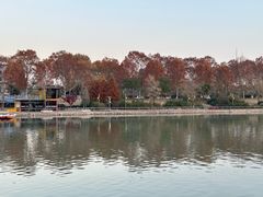 -泰州凤城河风景区-泰山公园