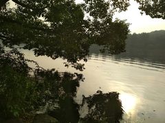 -西湖游船