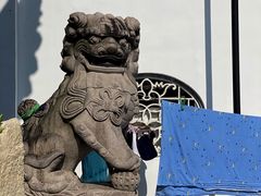 -三林塘老街