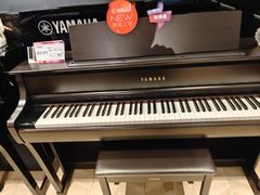 -雅歌音乐培训中心·钢琴培训·乐器培训(交道口店)