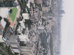 -洲际酒店·凌霄餐厅(紫峰大厦店)