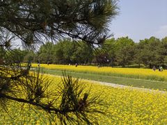 -北坞公园