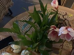 -施奈儿.洗头頭療.按摩SPA.采耳(上梅林店)