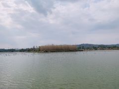 -江门古劳水乡旅游区
