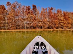 -上海海湾国家森林公园