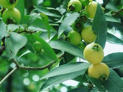 -行人小筑·茶馆(岑村火炉山分店)