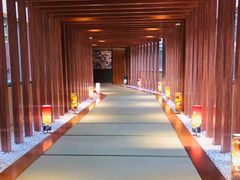 -重庆南山海昌汤都
