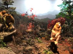 -陕西自然博物馆