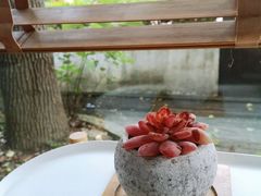-黑胶星球(华发中城商都店)