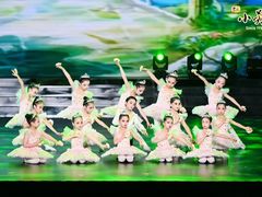 -小荧星艺校(浦东中环分校)