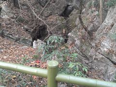 -玉女潭景区