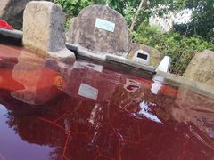 -溧阳天目湖天沐温泉