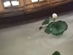 -老船坞水上餐厅(亚洲大酒店  东四十条店)