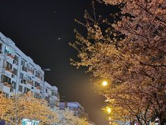 -永乐路-路侧停车场